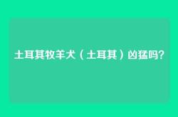 土耳其牧羊犬（土耳其）凶猛吗？