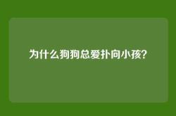为什么狗狗总爱扑向小孩？