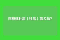 阿根廷杜高（杜高）猎犬吗？