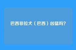 巴西非拉犬（巴西）凶猛吗？