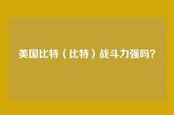 美国比特（比特）战斗力强吗？