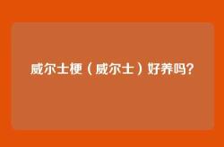 威尔士梗（威尔士）好养吗？
