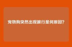 宠物狗突然出现跛行是何原因？