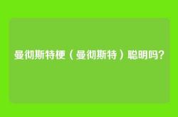 曼彻斯特梗（曼彻斯特）聪明吗？