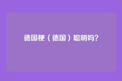 德国梗（德国）聪明吗？