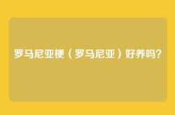 罗马尼亚梗（罗马尼亚）好养吗？
