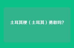 土耳其梗（土耳其）勇敢吗？