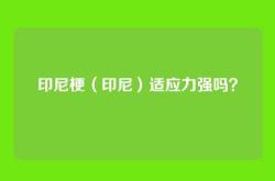 印尼梗（印尼）适应力强吗？