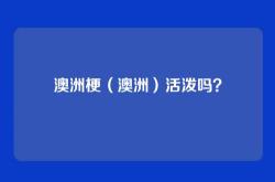 澳洲梗（澳洲）活泼吗？