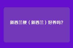 新西兰梗（新西兰）好养吗？