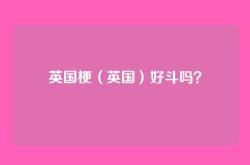 英国梗（英国）好斗吗？