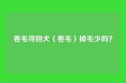 卷毛寻回犬（卷毛）掉毛少吗？