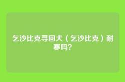 乞沙比克寻回犬（乞沙比克）耐寒吗？