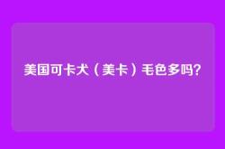 美国可卡犬（美卡）毛色多吗？