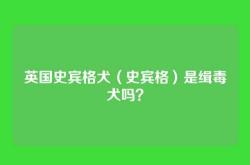 英国史宾格犬（史宾格）是缉毒犬吗？