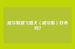 威尔斯激飞猎犬（威尔斯）好养吗？