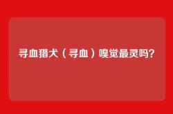 寻血猎犬（寻血）嗅觉最灵吗？
