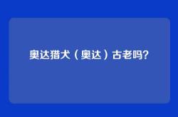 奥达猎犬（奥达）古老吗？