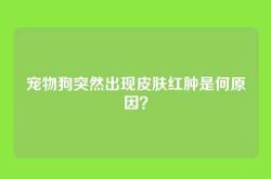 宠物狗突然出现皮肤红肿是何原因？
