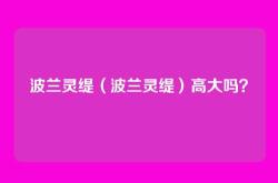 波兰灵缇（波兰灵缇）高大吗？
