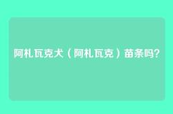 阿札瓦克犬（阿札瓦克）苗条吗？