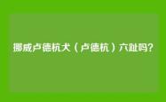 挪威卢德杭犬（卢德杭）六趾吗？