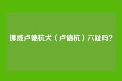挪威卢德杭犬（卢德杭）六趾吗？