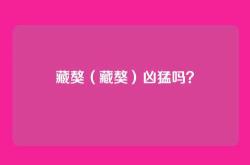 藏獒（藏獒）凶猛吗？