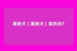 黑熊犬（黑熊犬）黑色吗？