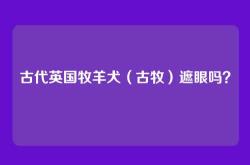 古代英国牧羊犬（古牧）遮眼吗？