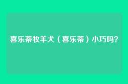 喜乐蒂牧羊犬（喜乐蒂）小巧吗？
