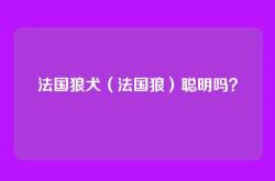 法国狼犬（法国狼）聪明吗？