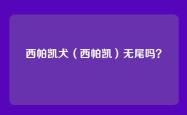 西帕凯犬（西帕凯）无尾吗？