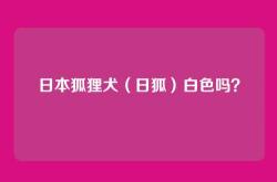 日本狐狸犬（日狐）白色吗？