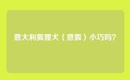 意大利狐狸犬（意狐）小巧吗？