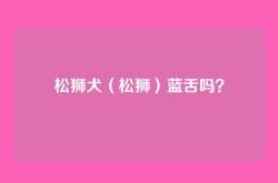 松狮犬（松狮）蓝舌吗？