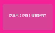 沙皮犬（沙皮）褶皱多吗？