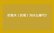 巴哥犬（巴哥）为什么喘气？