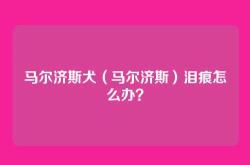 马尔济斯犬（马尔济斯）泪痕怎么办？