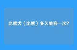 比熊犬（比熊）多久美容一次？