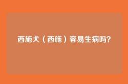 西施犬（西施）容易生病吗？