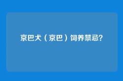 京巴犬（京巴）饲养禁忌？