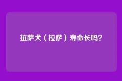 拉萨犬（拉萨）寿命长吗？