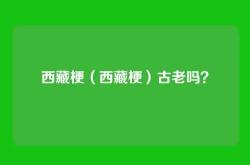 西藏梗（西藏梗）古老吗？