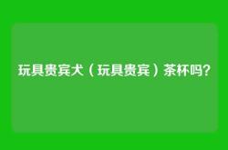 玩具贵宾犬（玩具贵宾）茶杯吗？