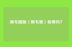 刚毛腊肠（刚毛腊）耐寒吗？