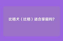 比格犬（比格）适合家庭吗？