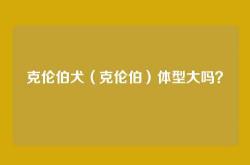 克伦伯犬（克伦伯）体型大吗？