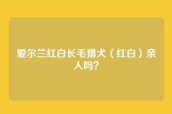 爱尔兰红白长毛猎犬（红白）亲人吗？