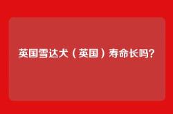 英国雪达犬（英国）寿命长吗？
